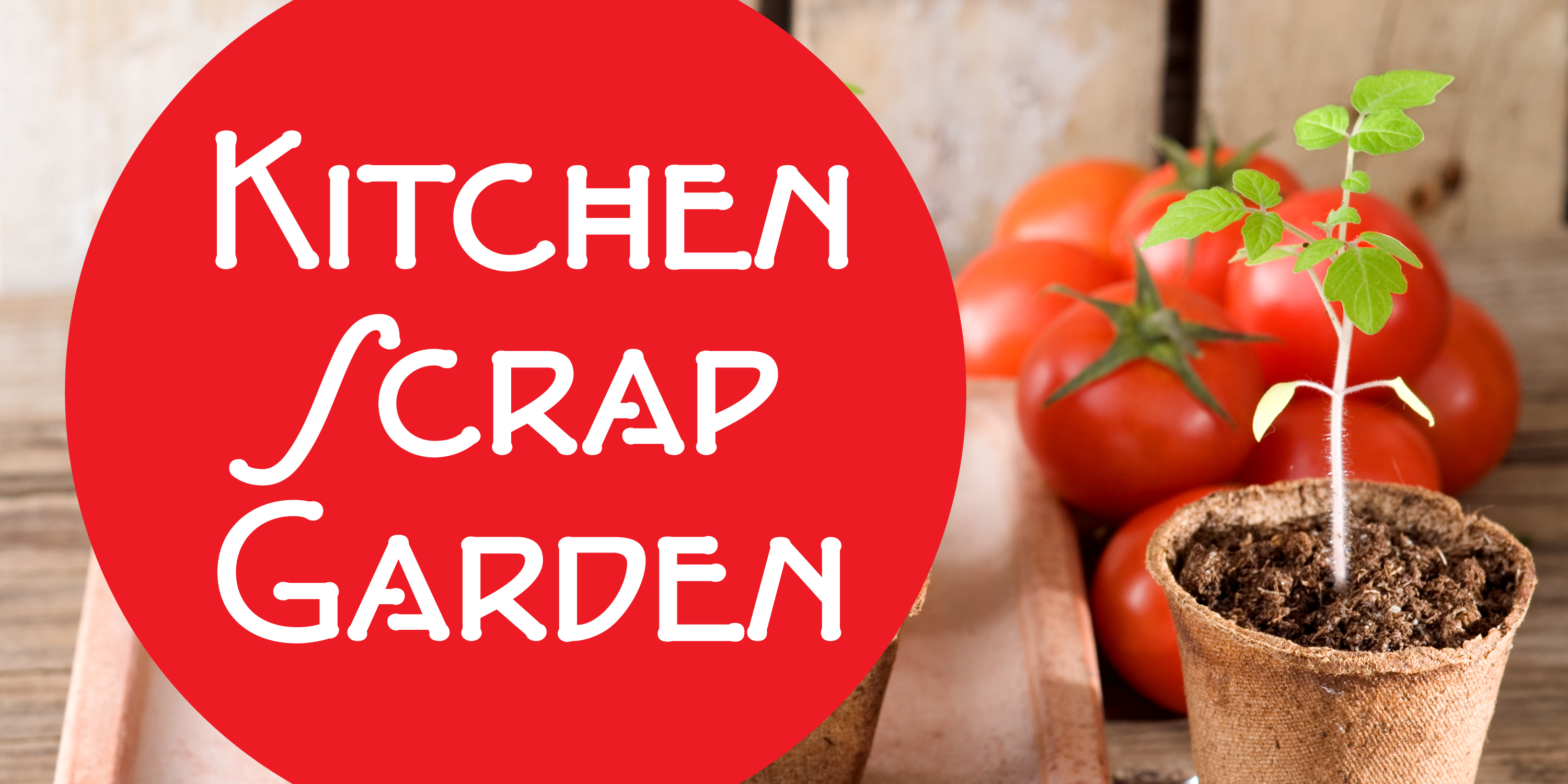 Kitchen Scrap Garden