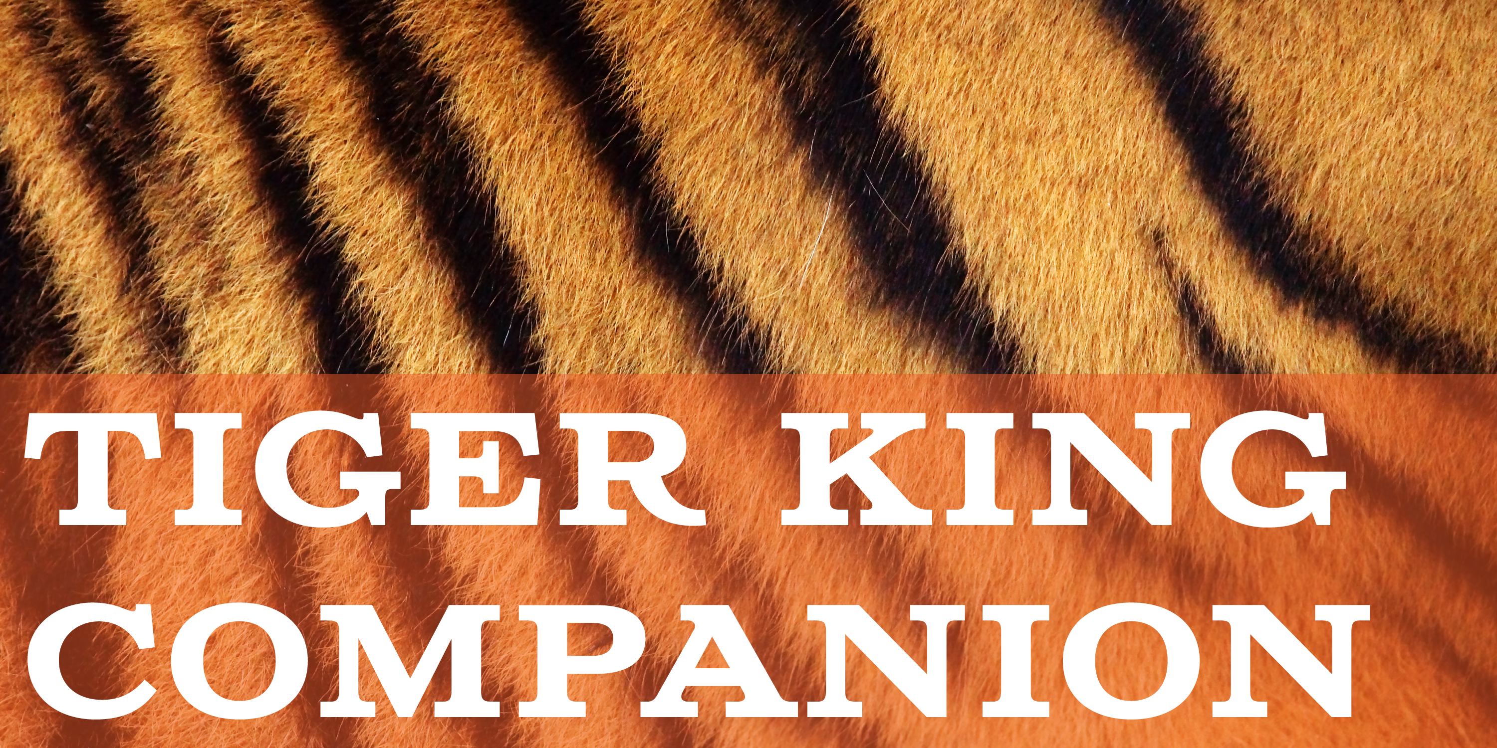 Tiger King Companion