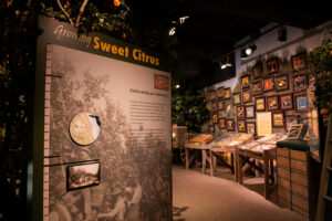 Orange County Regional History Center exhibit showing the history of citrus in the state with a gallery of citrus crate labels.