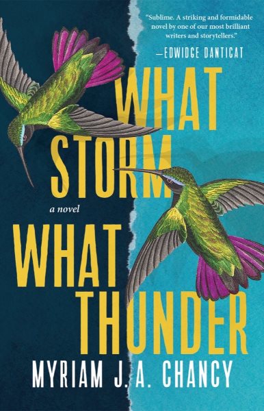 Cover art for What storm