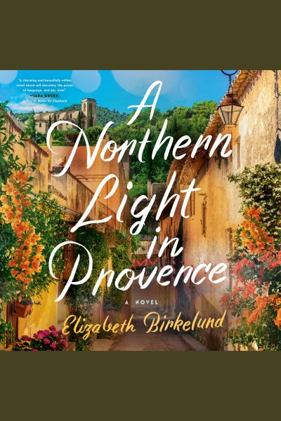 Cover art for A northern light in Provence [electronic resource] : a novel / Elizabeth Birkelund.