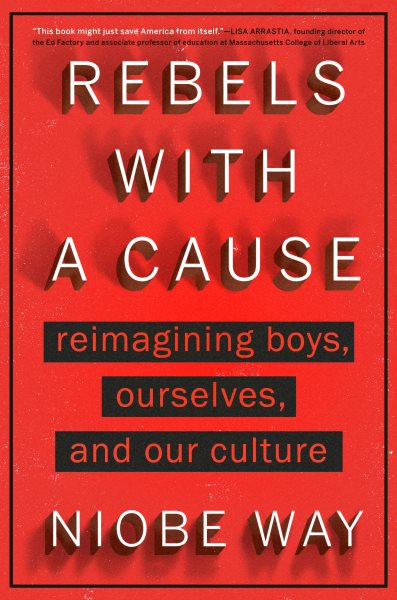 Cover art for Rebels with a cause : reimagining boys