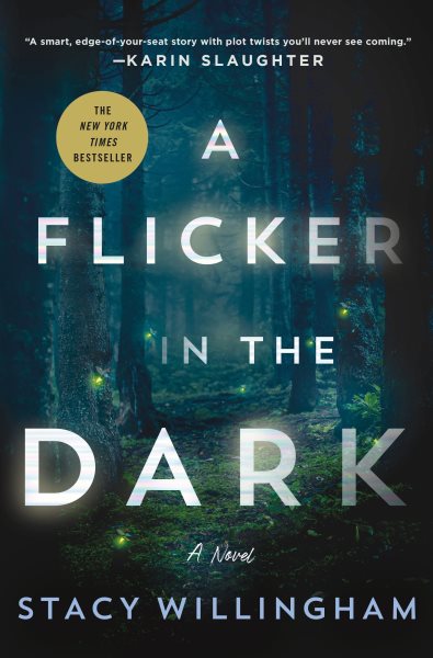 Cover art for A flicker in the dark / Stacy Willingham.