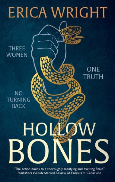 Cover art for Hollow bones / Erica Wright.