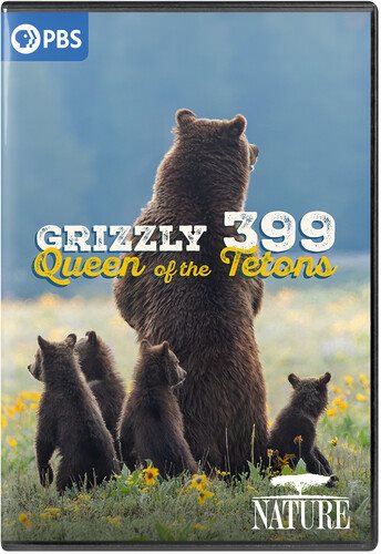 Cover art for Grizzly 399 : queen of the Tetons [DVD videorecording] / a production of Lucky 8 TV