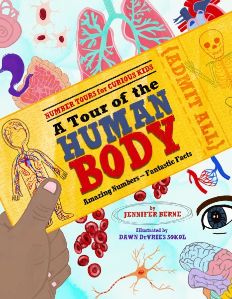 Cover art for A tour of the human body : amazing numbers-- fantastic facts / by Jennifer Berne   illustrated by Dawn DeVries Sokol.