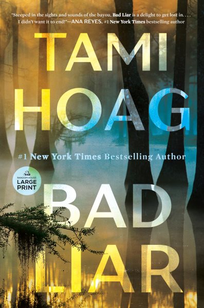 Cover art for Bad liar [LARGE PRINT] : a novel / Tami Hoag.