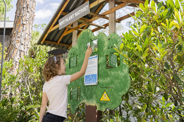 Girl interacting with an informational board made to look like a tree at the Audubon Center for For Birds of Prey