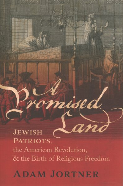 Cover art for A promised land : Jewish patriots