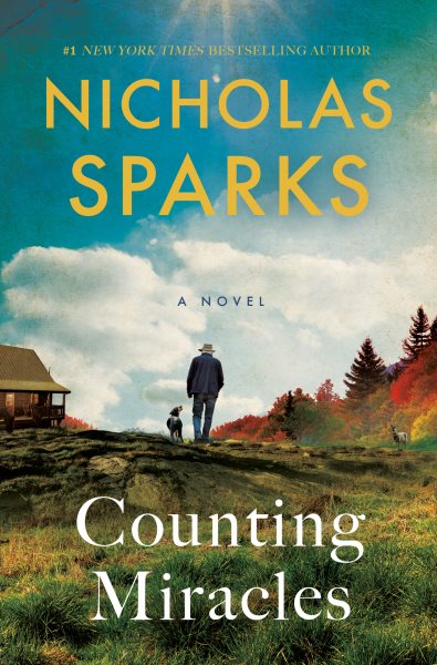 Cover art for Counting miracles : a novel / Nicholas Sparks.