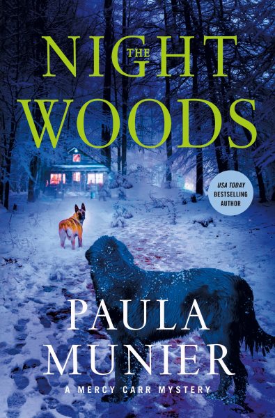 Cover art for The night woods / Paula Munier.