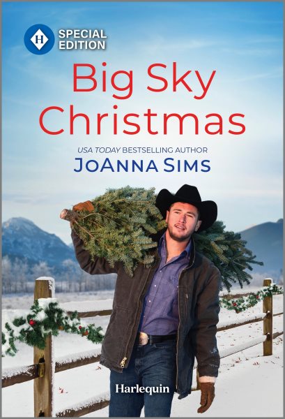 Cover art for Big sky Christmas / Joanna Sims.