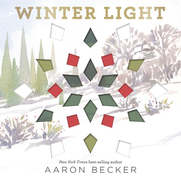 Cover art for Winter light [BOARD BOOK] / Aaron Becker.