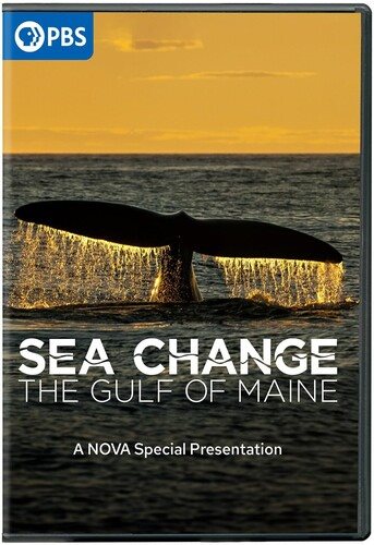 Cover art for Sea change : the Gulf of Maine [DVD videorecording] / a co-production of GBH and So World Media   produced with the assistance of the Canadian Film or Video Production Services Tax Credit   written by Stella Cha