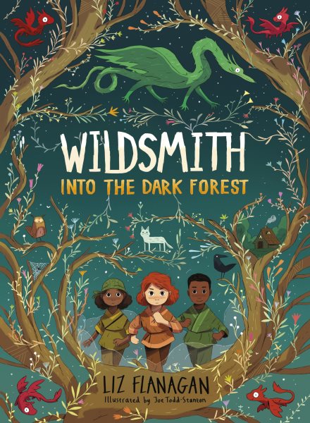 Cover art for Wildsmith. Into the dark forest / Liz Flanagan   illustrated by Joe Todd-Stanton.