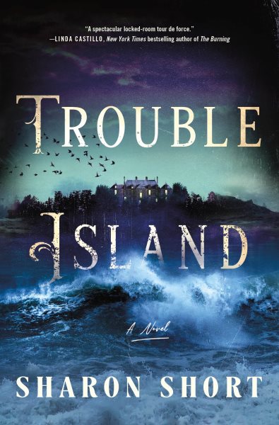 Cover art for Trouble island : a novel / Sharon Short.