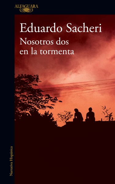 Cover art for Nosotros dos en la tormenta / Eduardo Sacheri.