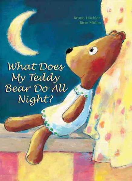 Cover art for What does my teddy bear do all night? / Bruno Hächler   illustrated by Birte Müller   translated by Charise Myngheer.