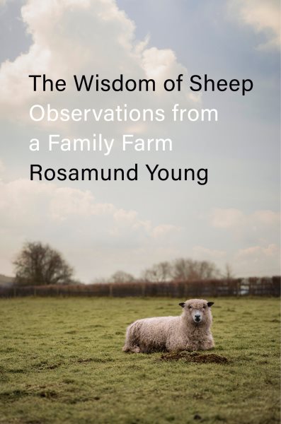 Cover art for The wisdom of sheep : observations from a family farm / Rosamund Young.