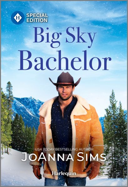 Cover art for Big sky bachelor / JoAnna Sims.