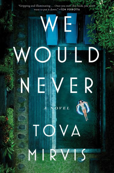 Cover art for We would never : a novel / Tova Mirvis.