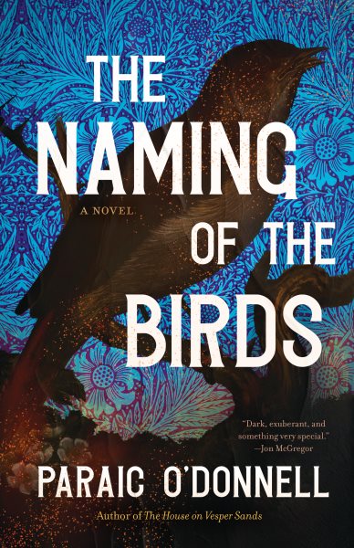 Cover art for The naming of the birds : a novel / Paraic O'Donnell.