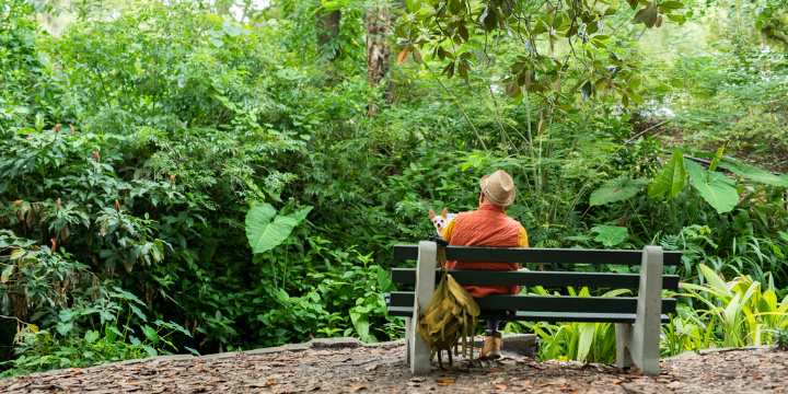 man in orange vest and hat seated on a bench in nature facing lush green plants; chihuahua in his lap facing the camera