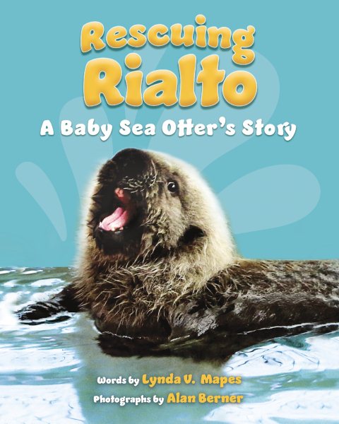 Cover art for Rescuing Rialto : a baby sea otter's story / words by Lynda V. Mapes  photographs by Alan Berner.