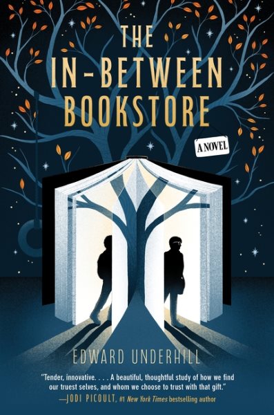 Cover art for The in-between bookstore : a novel / Edward Underhill.
