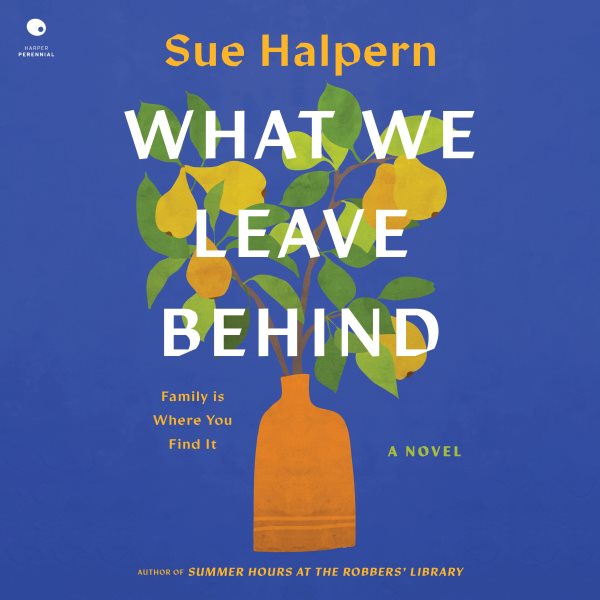 Cover art for What we leave behind [electronic resource] : a novel / Sue Halpern.