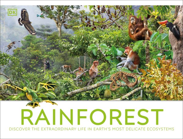 Cover art for Rainforest : discover the extraordinary life in Earth's most delicate ecosystems / written by Dr. Michael Leach and Dr. Meriel Lland   consultant