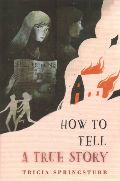 Cover art for How to tell a true story / Tricia Springstubb.