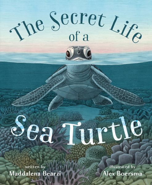 Cover art for The secret life of a sea turtle / by Maddalena Bearzi   illustrated by Alex Boersma.