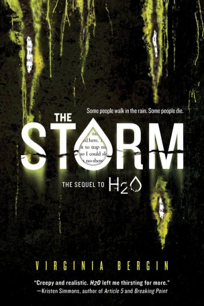 Cover art for The storm / Virgina Bergin.