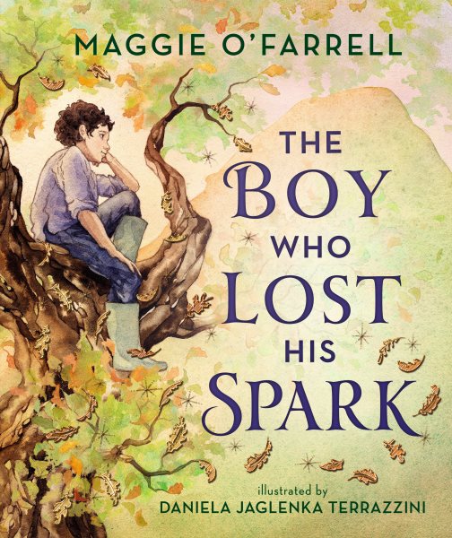 Cover art for Boy who lost his spark / Maggie O'Farrell   illustrated by Daniela Jaglenka Terrazzini.