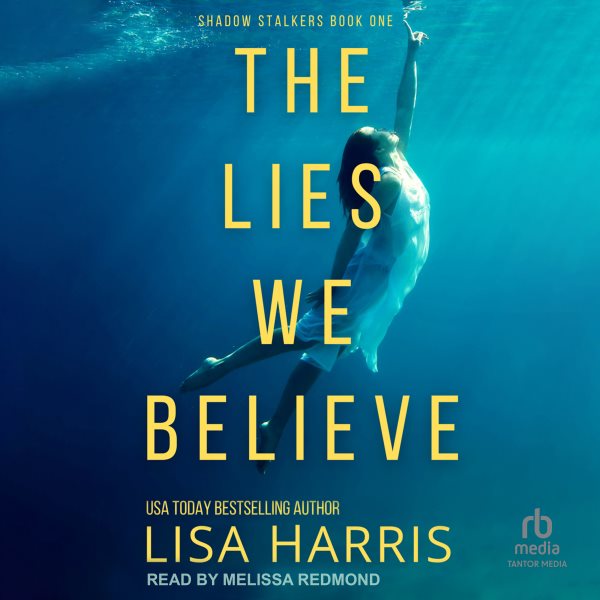 Cover art for The Lies We Believe [electronic resource] / Lisa Harris.