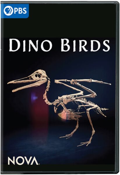 Cover art for Dino birds [DVD videorecording] / a Nova production by Pernel Media for GBH in association with France Televisions