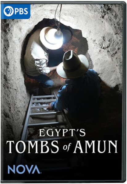 Cover art for Egypt's tombs of Amun [DVD videorecording] / a Nova production by At Land Productions