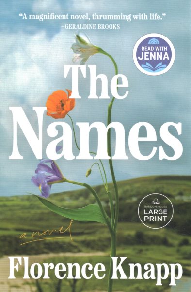 Cover art for The names [LARGE PRINT] : a novel / Florence Knapp.