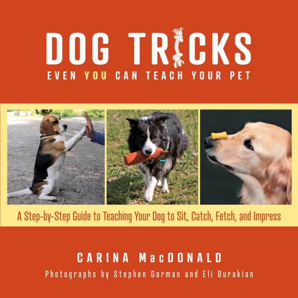 Cover art for Dog tricks even you can teach your pet : a step-by-step guide to teaching your pet to sit