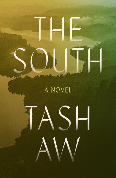 Cover art for The south : a novel / Tash Aw.