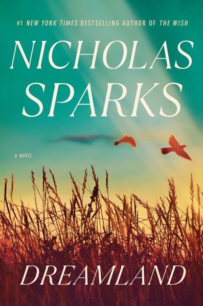 Cover art for Dreamland : a novel / Nicholas Sparks.