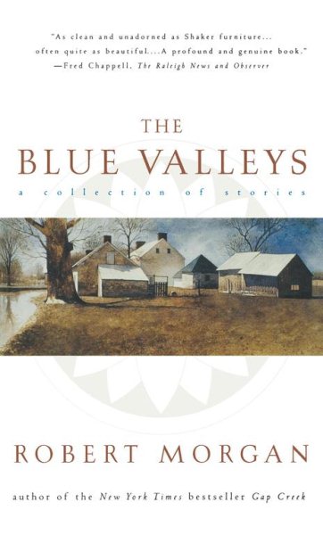 Cover art for The blue valleys : a collection of stories / Robert Morgan.