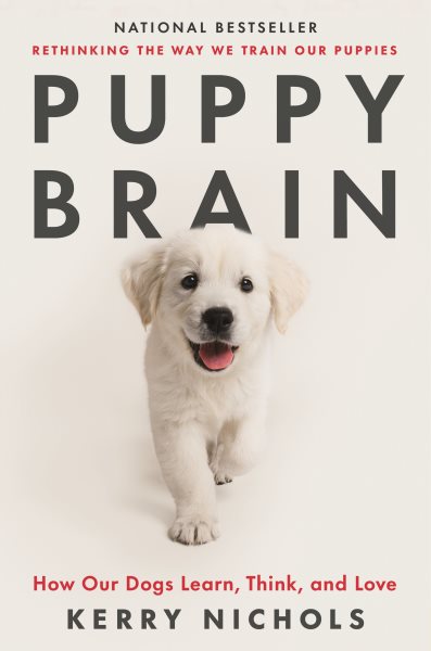 Cover art for Puppy brain : how our dogs learn