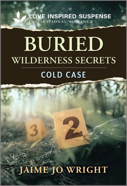 Cover art for Buried wilderness secrets / Jaime Jo Wright.