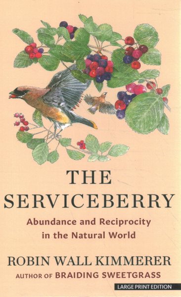 Cover art for The serviceberry [LARGE PRINT]  : abundance and reciprocity in the natural world / Robin Wall Kimmerer   with illustrations by John Burgoyne.