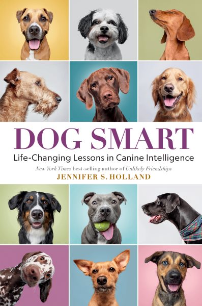 Cover art for Dog smart : life-changing lessons in canine intelligence / Jennifer S. Holland.