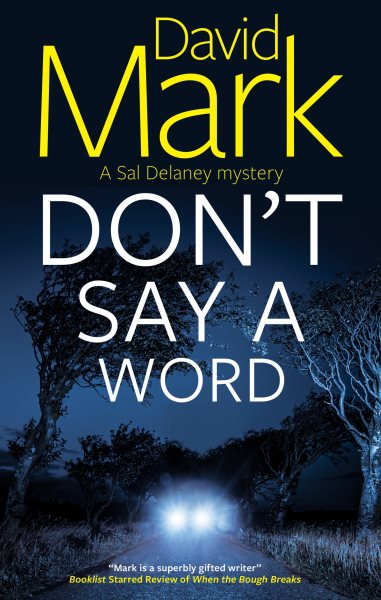 Cover art for Don't say a word / David Mark.