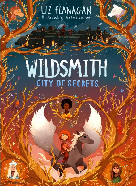Cover art for City of secrets / Liz Flanagan   illustrated by Joe Todd-Stanton.