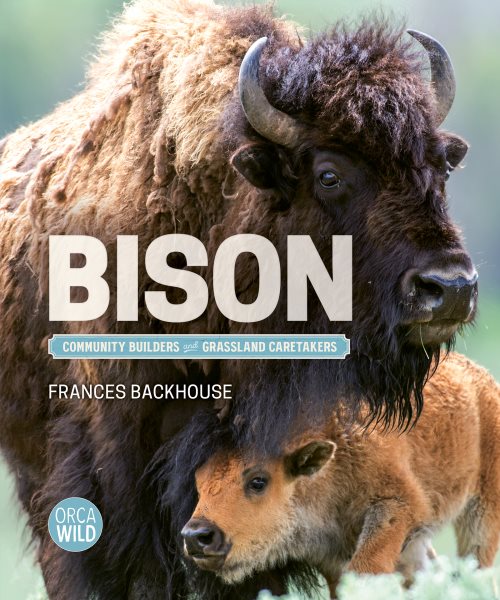 Cover art for Bison : community builders and grassland caretakers / Frances Backhouse.